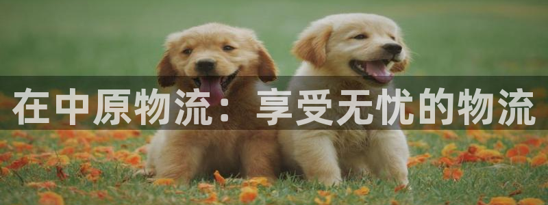28圈初始密码在哪里修改的