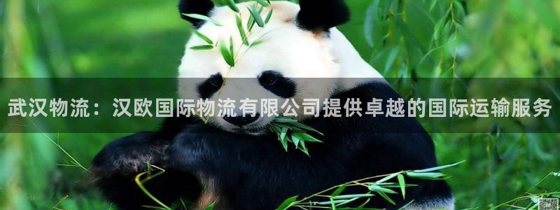 28圈加拿大在线预测：武汉物流：汉欧