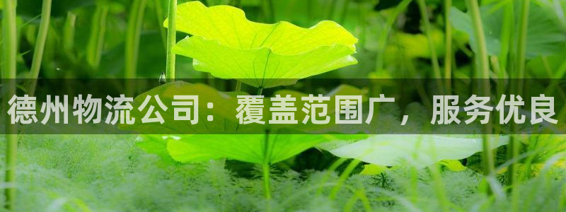 28圈cn