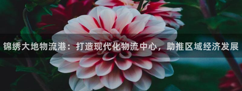 28圈软件：锦绣大地物流港：打造现代