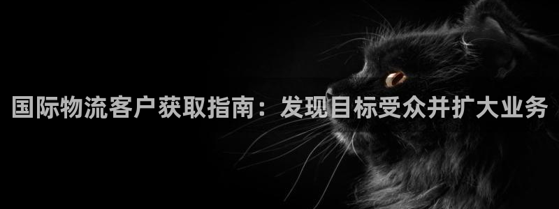 28圈官网下载链接是什么网站：国际物