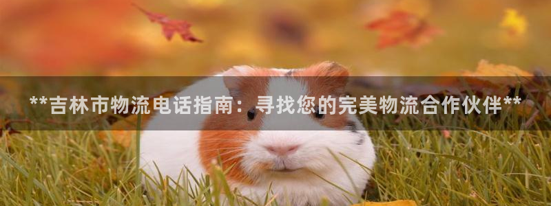 28圈注册网站谁有：**吉林市物流电