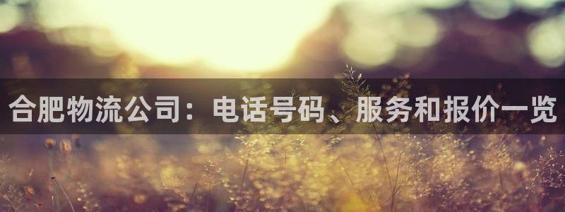 28圈加拿大是什么