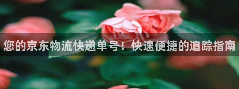 28圈官方平台