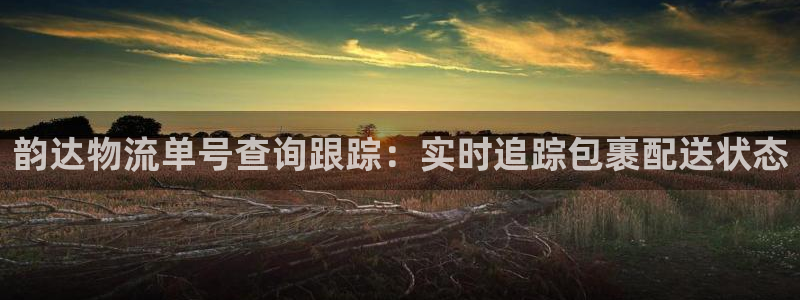 麻将128圈：韵达物流单号查询跟踪：
