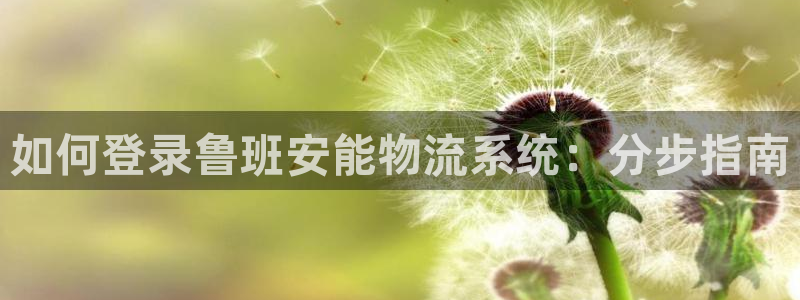 28圈网站怎么注册：如何登录鲁班安能