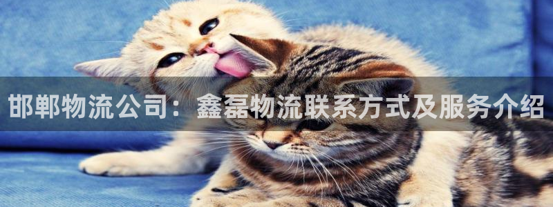 28圈.ccmpcios