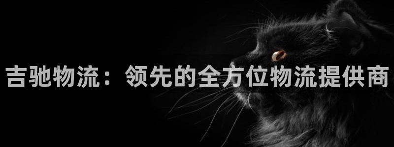 28圈注册网站APP：吉驰物流：领先