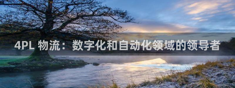 28圈机器人是什么软件：4PL 物流