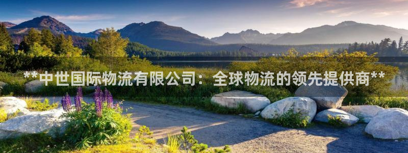 28圈是什么是赌博吗?：**中世国际