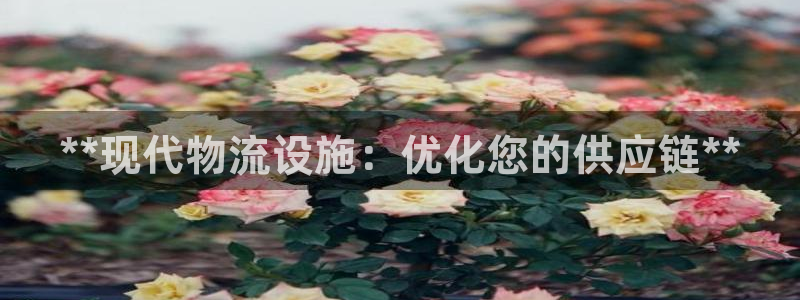 28圈登录网：**现代物流设施：优化