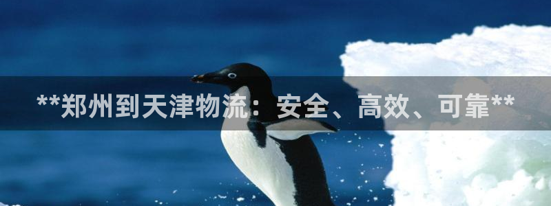 28圈下载不了：**郑州到天津物流：