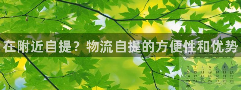 28圈娱乐官网网页下载