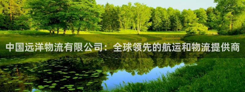 28圈注册号：中国远洋物流有限公司：