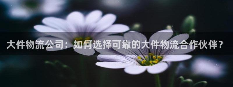 28圈连输10天