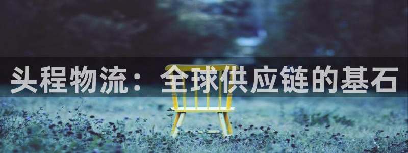 28圈游戏官网入口：头程物流：全球供