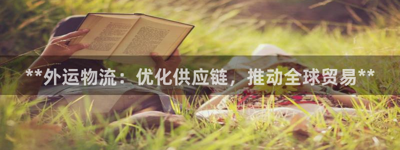 28圈注册与教程：**外运物流：优化