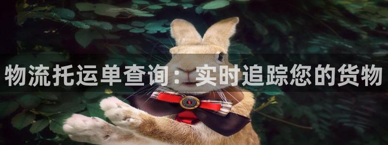 28圈官网下载链接是什么