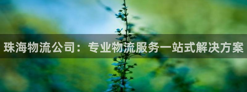 28圈是干嘛的