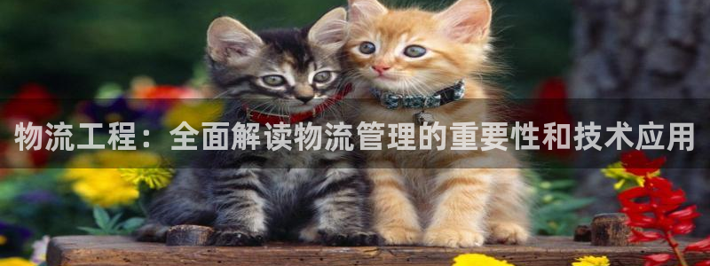 28圈注册登录链接：物流工程：全面解
