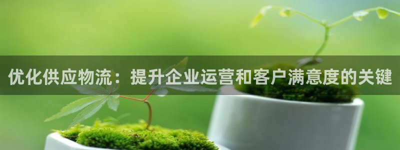 28圈昵称