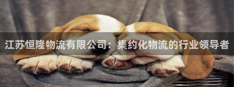 加拿大28圈注册链接：江苏恒隆物流有