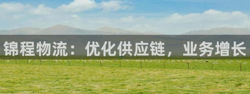 28圈技巧：锦程物流：优化供应链，业