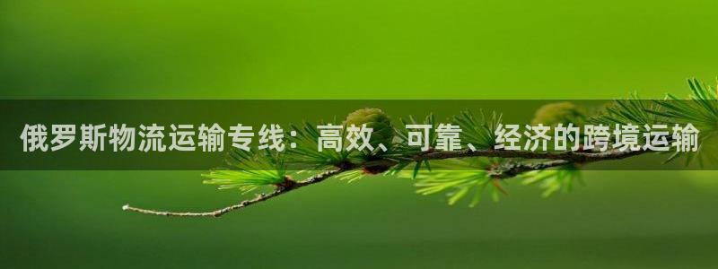 28圈ccm游戏：俄罗斯物流运输专线